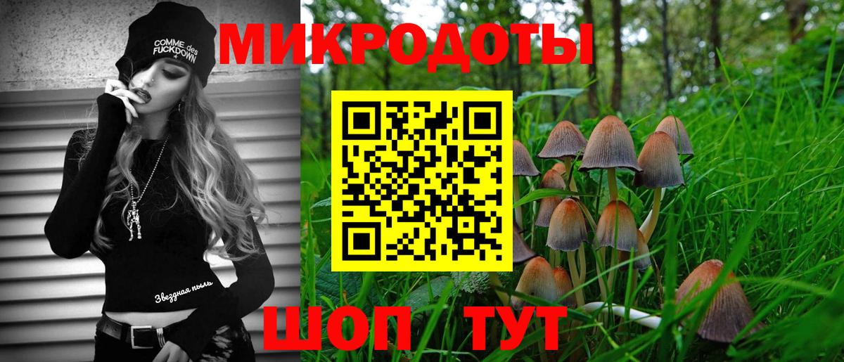 Кингисепп  Галлюциногенные грибы Psilocybe  Вход с VPN 