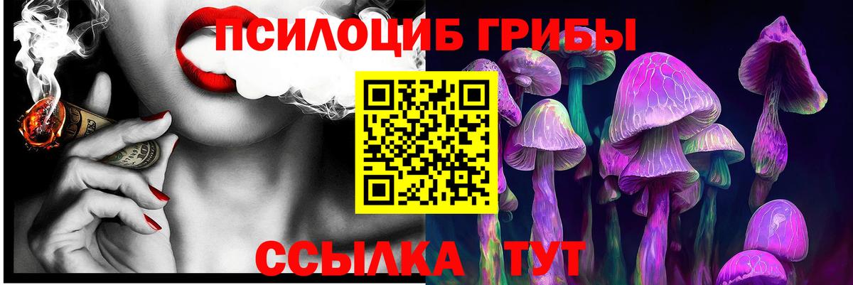 Псилоцибиновые грибы Psilocybe Кингисепп